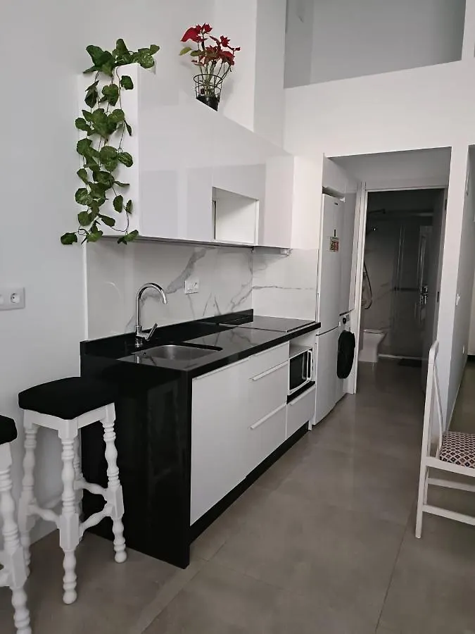 Emilio De La Cerda Huelin Apartment Malaga
